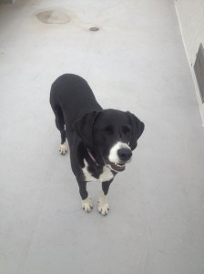 Lucy is happy about being here.