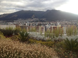 View from the top of our building, looking west to Pichincha