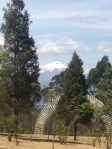 First View of Cotopaxi